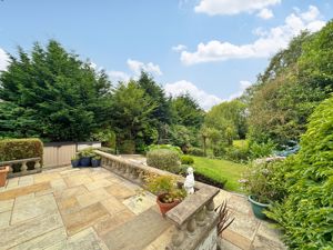 Photo 43- click for photo gallery